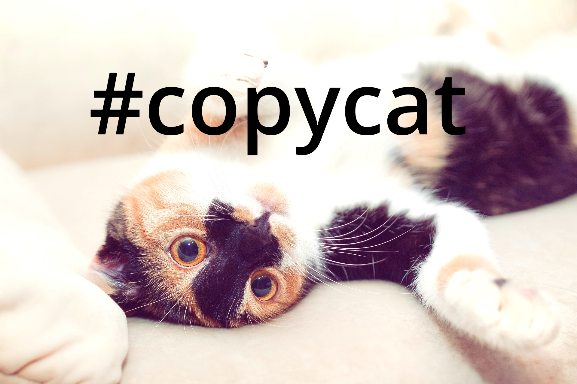 Twitter Copycat